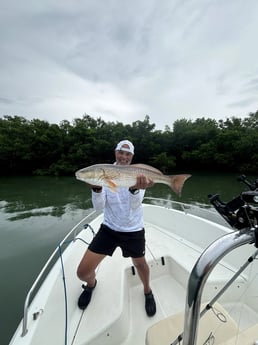 Fishing in Sarasota, Florida