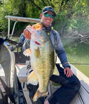 Largemouth Bass fishing in Buda, Texas