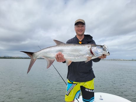 Tarpon Fishing in San Juan, Puerto Rico