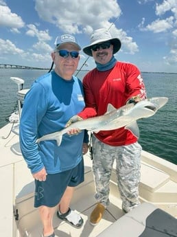 Fishing in St. Petersburg, Florida