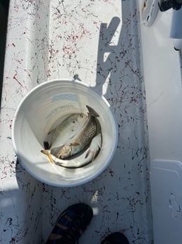 Fishing in South Padre Island, Texas