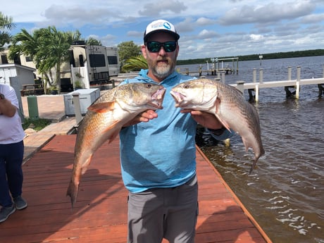 Redfish Fishing in Chokoloskee, Florida