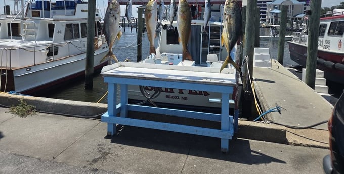 Fishing in Biloxi, Mississippi