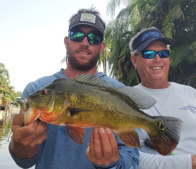Peacock Bass fishing in Delray Beach, Florida