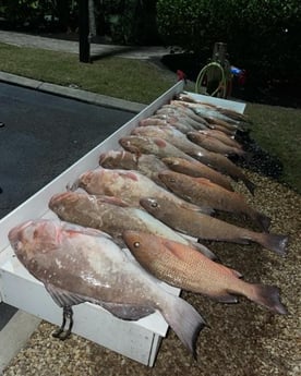 Fishing in Sarasota, Florida