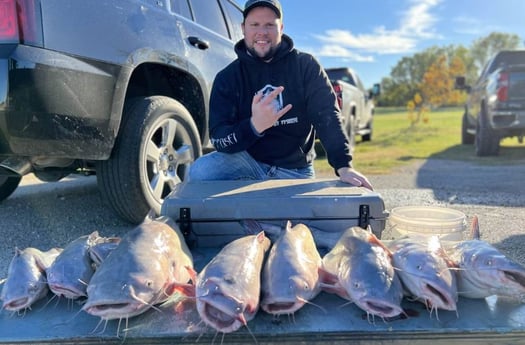 Blue Catfish Fishing in Dallas, Texas