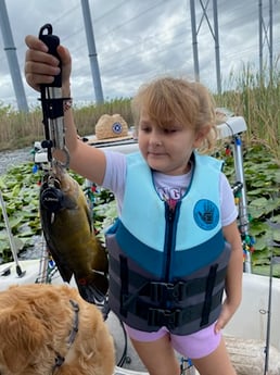 Fishing in Weston, Florida