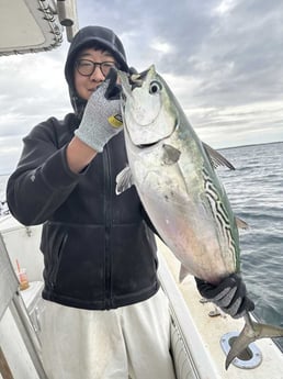 Fishing in Westport, Massachusetts