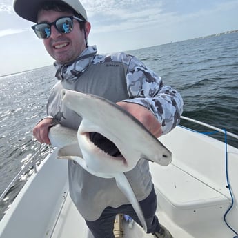 Fishing in Sarasota, Florida