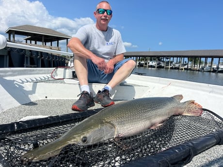 Fishing in Lacombe, Louisiana