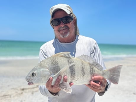 Fishing in Sarasota, Florida