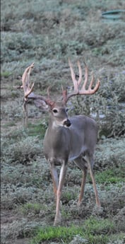Fishing in McAllen, Texas