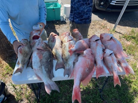 Fishing in St. Petersburg, Florida