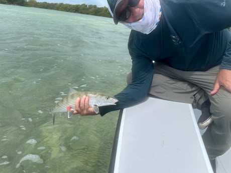 Fishing in Big Pine Key, Florida