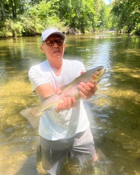 Rainbow Trout fishing in Leicester, North Carolina