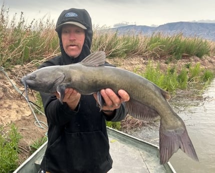 Fishing in Cody, Wyoming