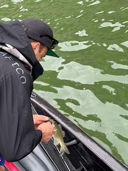 Largemouth Bass Fishing in Austin, Texas