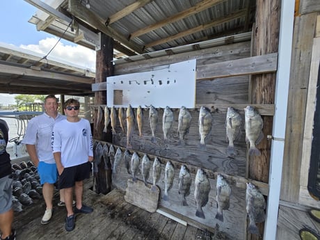 Black Drum, Redfish Fishing in Louisiana, MO, USA
