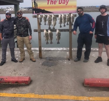 Black Drum Fishing in Rockport, Texas