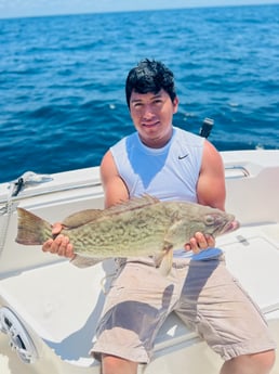 Gag Grouper Fishing in Mount Pleasant, South Carolina