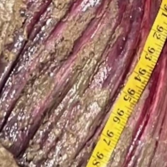 Fishing in Lufkin, Texas