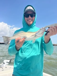Fishing in Deer Park, Texas