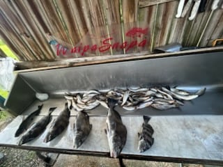 Fishing in Biloxi, Mississippi