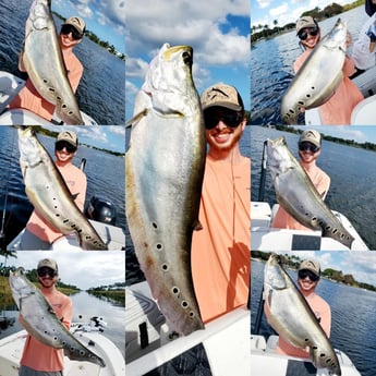 Clown Knifefish Fishing in Delray Beach, Florida