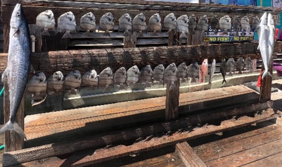 Fishing in Corpus Christi, Texas