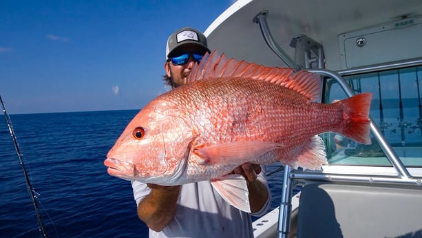 Fishing in Sarasota, Florida