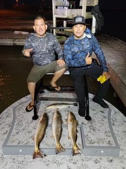 Redfish, Speckled Trout / Spotted Seatrout Fishing in Rio Hondo, Texas