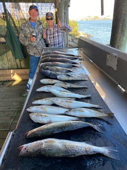 Black Drum, Redfish, Sheepshead, Speckled Trout Fishing in Surfside Beach, Texas