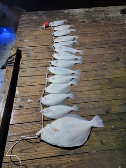 Flounder Fishing in Rio Hondo, Texas