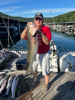 Fishing in Rogers, Arkansas