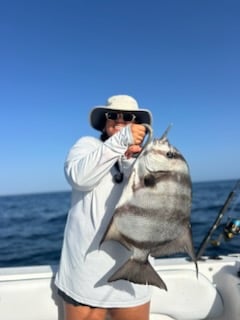 Fishing in Port Orange, Florida