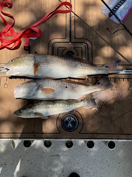 Fishing in St. Augustine, Florida
