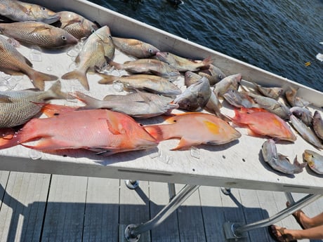 Fishing in New Port Richey, Florida