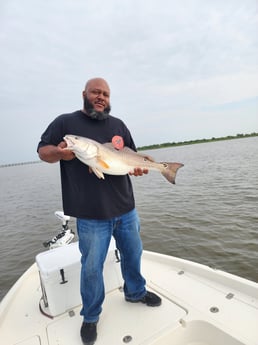 Redfish Fishing in New Orleans, Louisiana