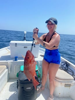 Red Snapper Fishing in Orange Beach, Alabama