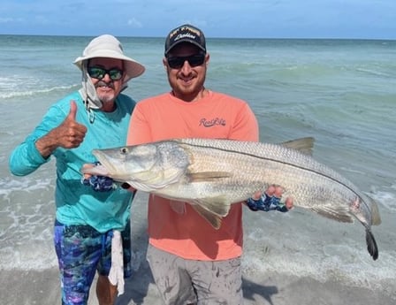 Fishing in Sarasota, Florida
