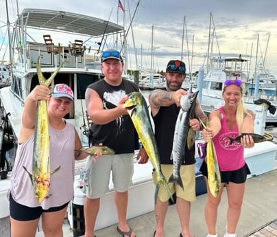 Barracuda, Mahi Mahi / Dorado Fishing in West Palm Beach, Florida