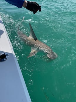 Fishing in Islamorada, Florida