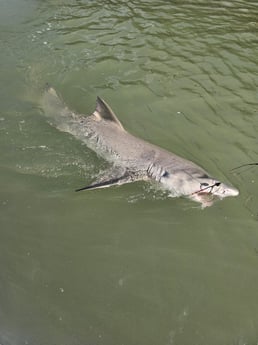 Fishing in Key Largo, Florida