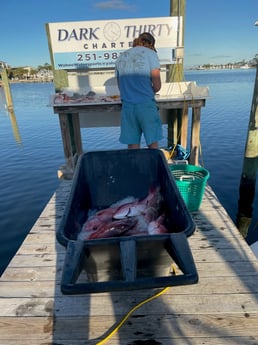 Fishing in Orange Beach, Alabama