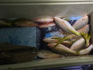 Fishing in Pompano Beach, Florida