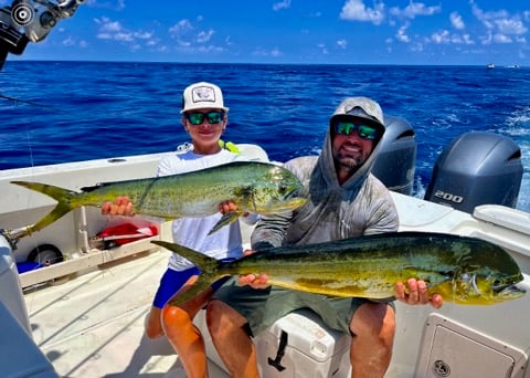 Mahi Mahi Fishing in Marathon, Florida
