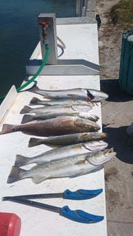 Fishing in Bradenton, Florida