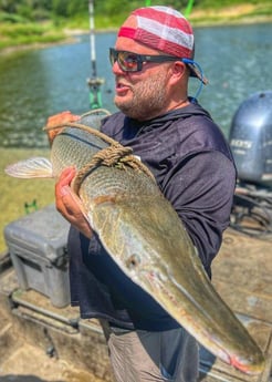 Alligator Gar Fishing in Dallas, Texas