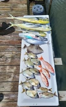 Fishing in Morehead City, North Carolina