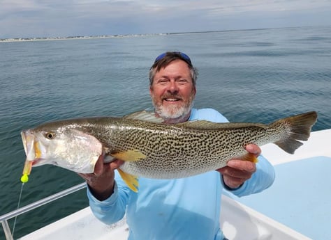 Speckled Trout Fishing in Trails End, North Carolina